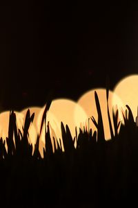 Preview wallpaper grass, silhouettes, light, bokeh, dark