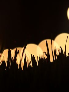 Preview wallpaper grass, silhouettes, light, bokeh, dark
