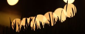 Preview wallpaper grass, silhouettes, light, bokeh, dark