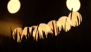 Preview wallpaper grass, silhouettes, light, bokeh, dark