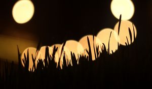 Preview wallpaper grass, silhouettes, light, bokeh, dark