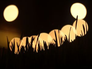 Preview wallpaper grass, silhouettes, light, bokeh, dark