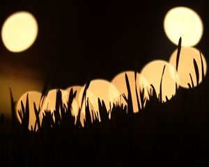 Preview wallpaper grass, silhouettes, light, bokeh, dark
