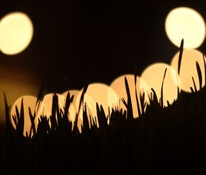 Preview wallpaper grass, silhouettes, light, bokeh, dark