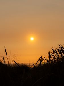 Preview wallpaper grass, silhouettes, sunset, sea, dark