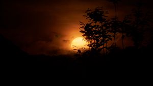 Preview wallpaper grass, silhouettes, sunset, nature, dark