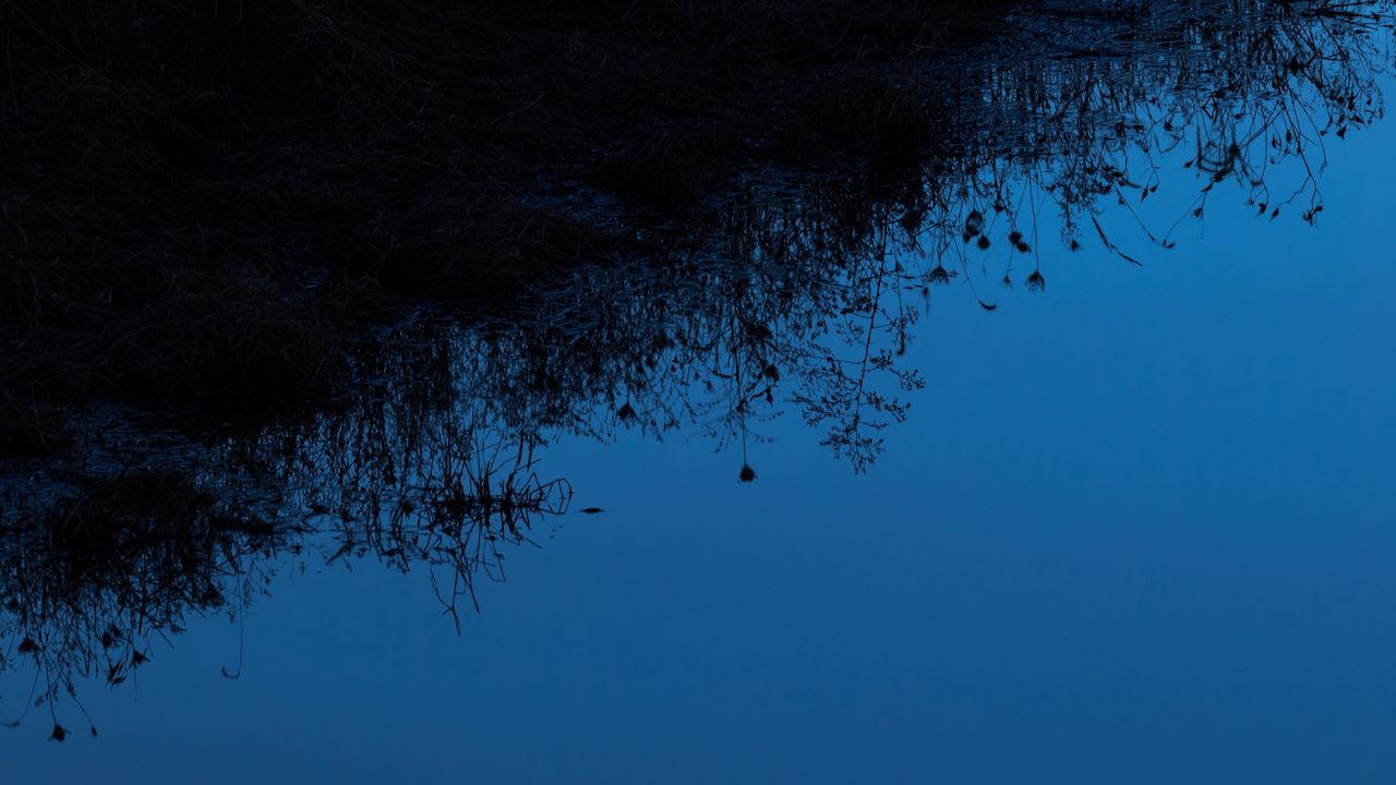 Wallpaper grass, silhouettes, water, reflection, sky, dark