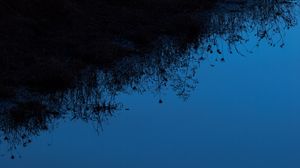 Preview wallpaper grass, silhouettes, water, reflection, sky, dark