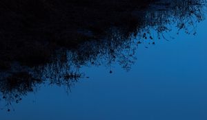 Preview wallpaper grass, silhouettes, water, reflection, sky, dark