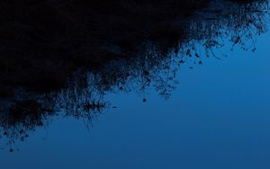 Preview wallpaper grass, silhouettes, water, reflection, sky, dark