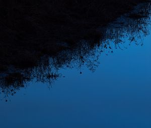Preview wallpaper grass, silhouettes, water, reflection, sky, dark