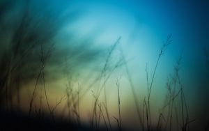 Preview wallpaper grass, sky, background, blur, dark