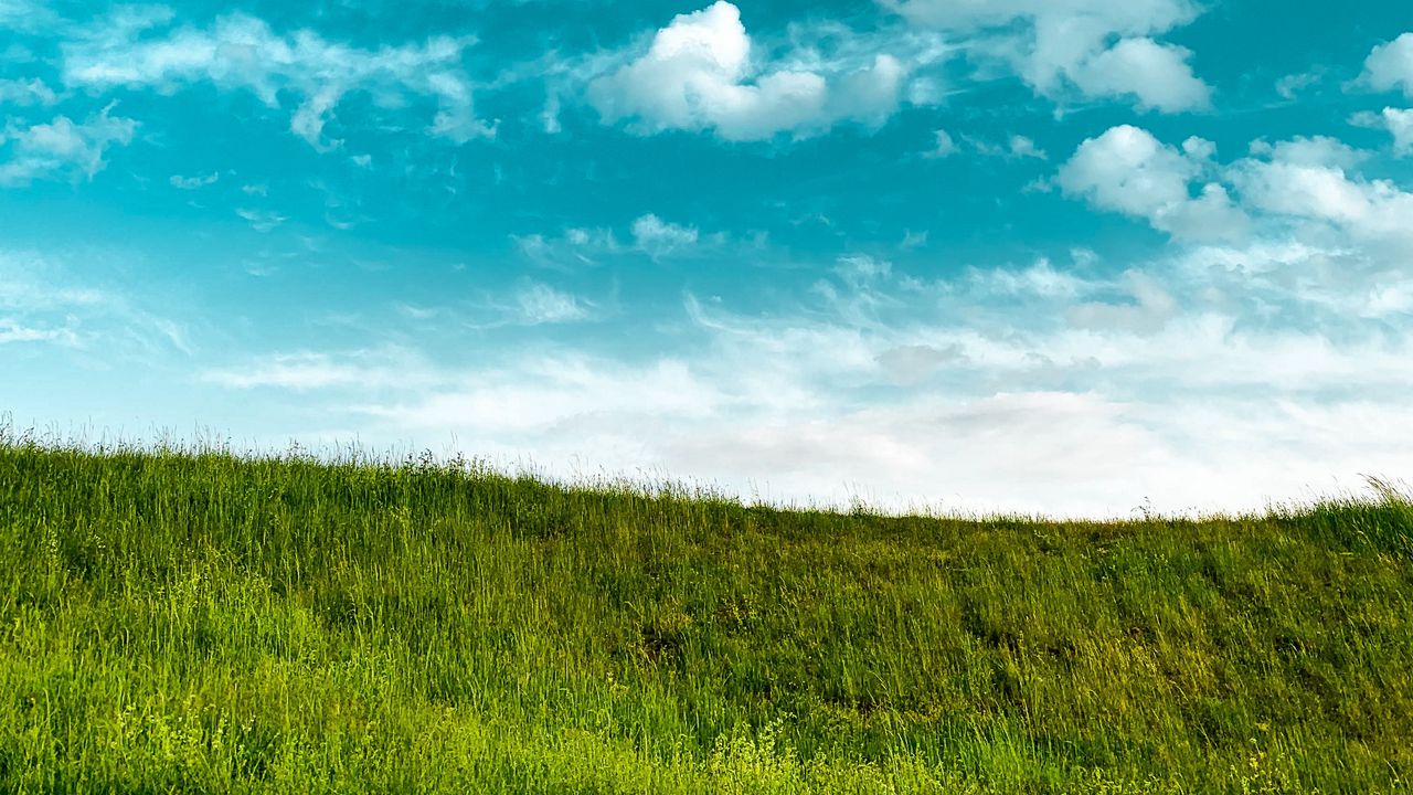 Wallpaper grass, sky, clouds, minimalism