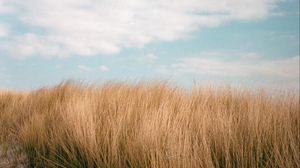 Preview wallpaper grass, sky, clouds, summer, nature