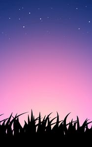 Preview wallpaper grass, sky, light, colorful