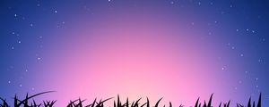 Preview wallpaper grass, sky, light, colorful