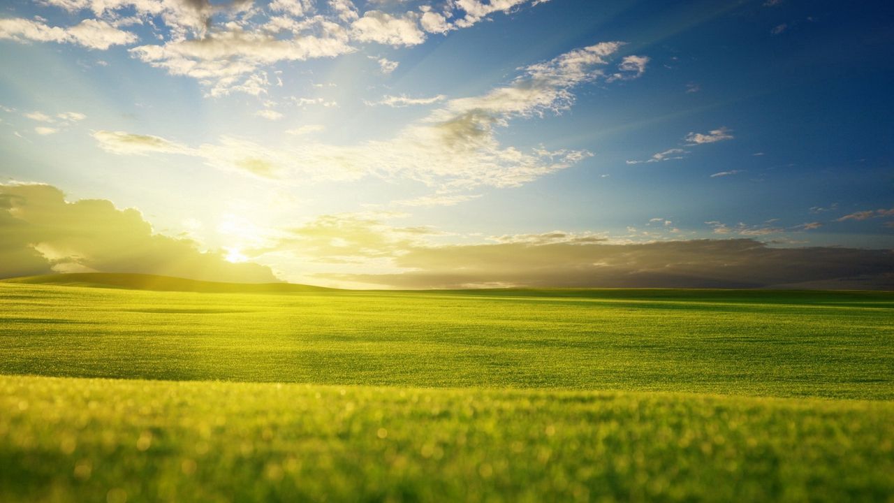 Wallpaper grass, sky, light, summer