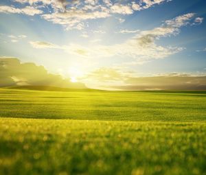 Preview wallpaper grass, sky, light, summer