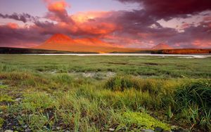 Preview wallpaper grass, sky, light, sunset