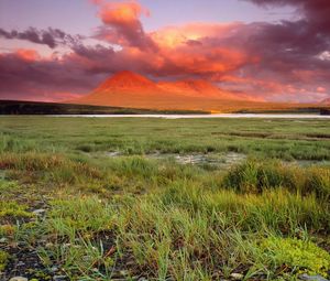 Preview wallpaper grass, sky, light, sunset