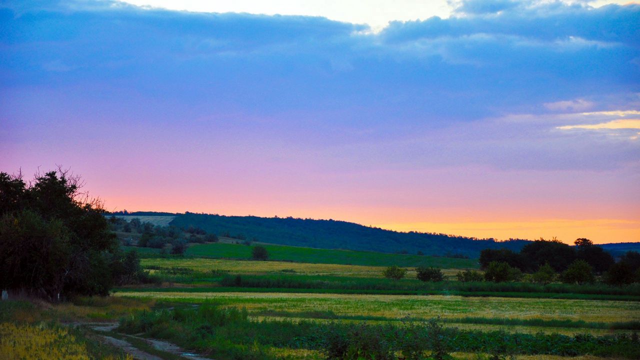 Wallpaper grass, sky, sunset