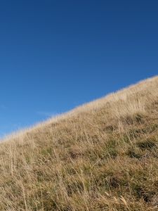 Preview wallpaper grass, slope, hill, sky, landscape, nature
