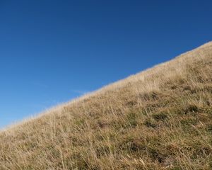 Preview wallpaper grass, slope, hill, sky, landscape, nature