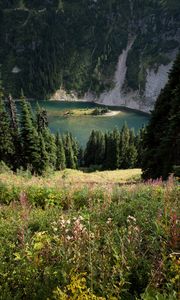 Preview wallpaper grass, slope, trees, island, mountains