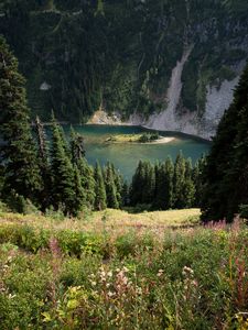 Preview wallpaper grass, slope, trees, island, mountains