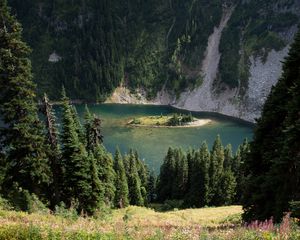 Preview wallpaper grass, slope, trees, island, mountains