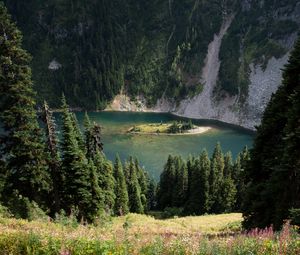 Preview wallpaper grass, slope, trees, island, mountains