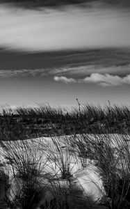 Preview wallpaper grass, snow, field, black and white