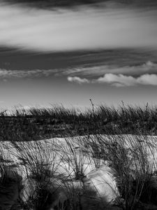 Preview wallpaper grass, snow, field, black and white