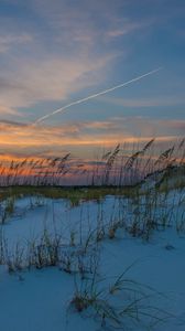 Preview wallpaper grass, snow, horizon, sunset, sky