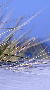 Preview wallpaper grass, snow, snowdrift