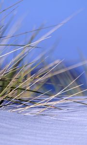 Preview wallpaper grass, snow, snowdrift