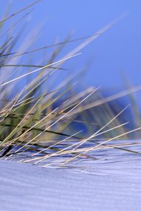 Preview wallpaper grass, snow, snowdrift