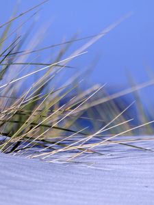 Preview wallpaper grass, snow, snowdrift