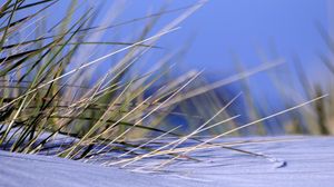 Preview wallpaper grass, snow, snowdrift