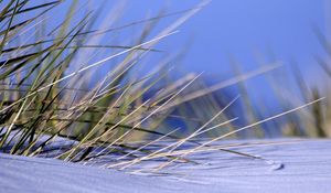 Preview wallpaper grass, snow, snowdrift