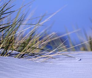 Preview wallpaper grass, snow, snowdrift