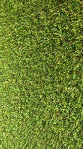 Preview wallpaper grass, stadium, green
