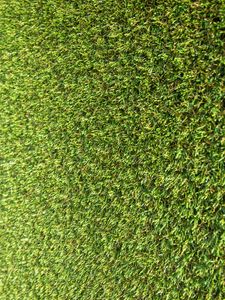 Preview wallpaper grass, stadium, green