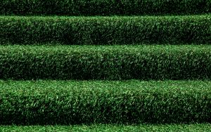 Preview wallpaper grass, stairs, green