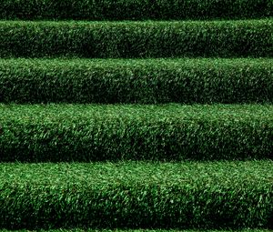 Preview wallpaper grass, stairs, green