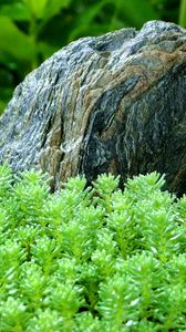 Preview wallpaper grass, stone, green