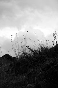 Preview wallpaper grass, stones, bw, hill, sky, clouds