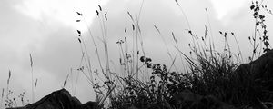 Preview wallpaper grass, stones, bw, hill, sky, clouds