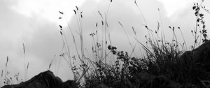 Preview wallpaper grass, stones, bw, hill, sky, clouds