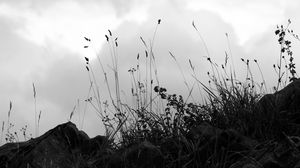 Preview wallpaper grass, stones, bw, hill, sky, clouds